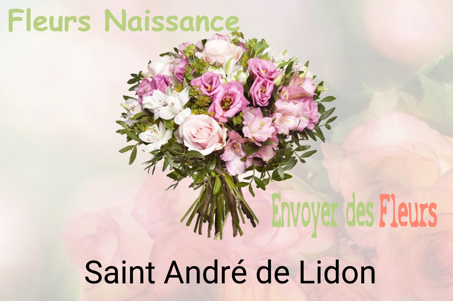 Bouquet de fleurs de naissance livré à Saint-André-de-Lidon